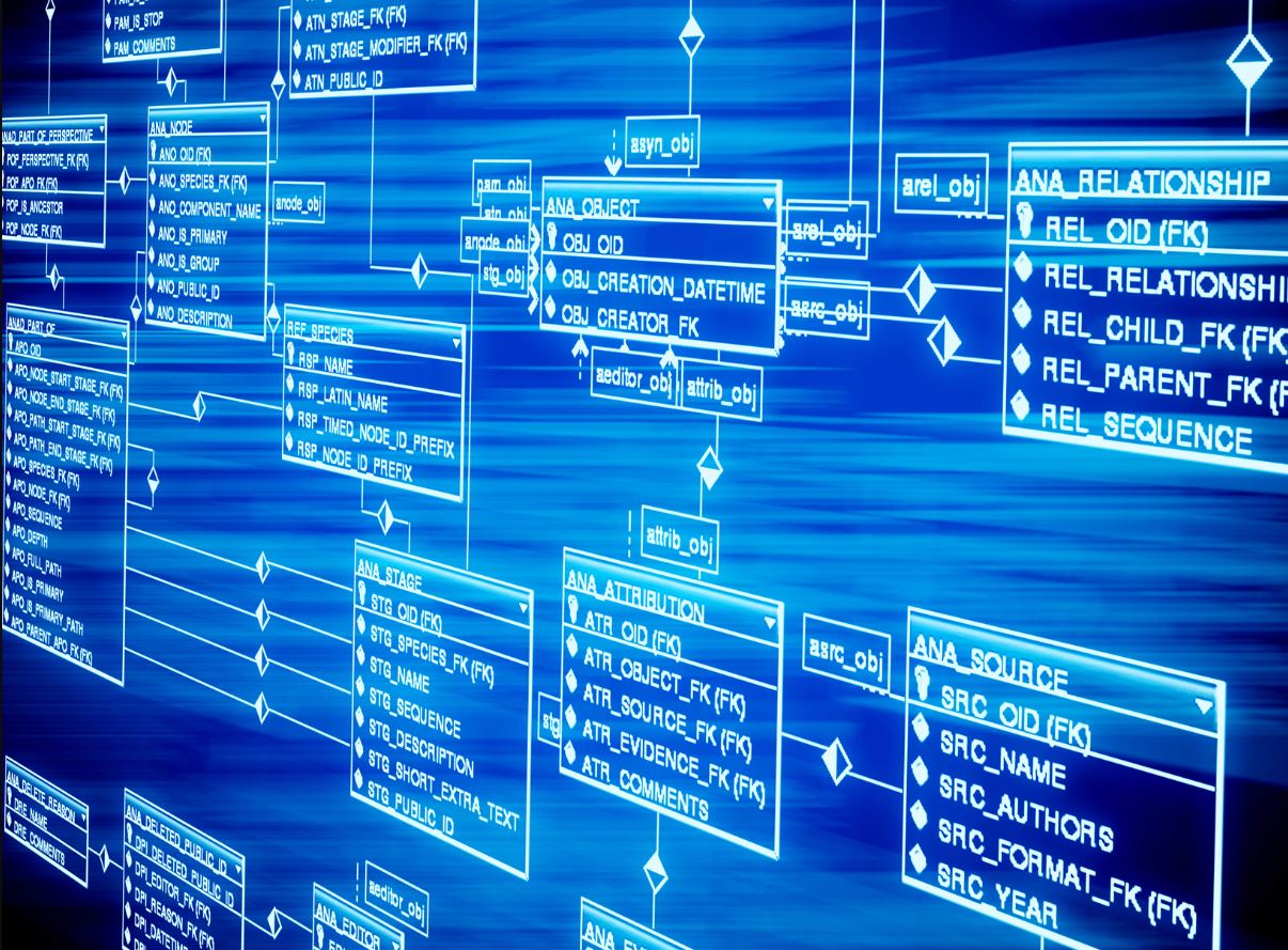 Sabías qué...? ¿Por qué DBaaS es el futuro de la gestión de bases de datos  para la empresa? — CloudMasters