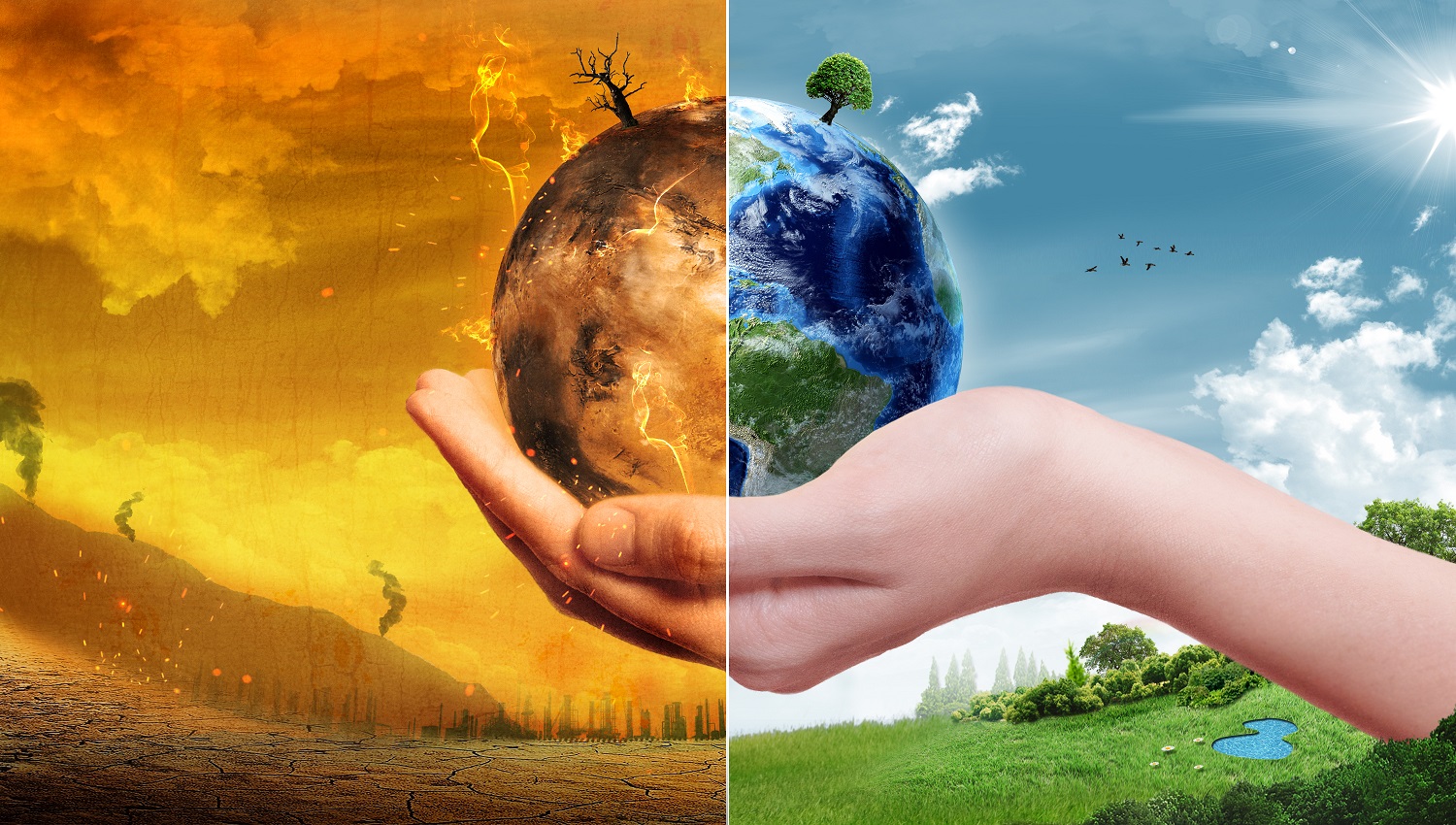 ¿Qué es el El Pacto para la neutralidad climática de los Data Center?