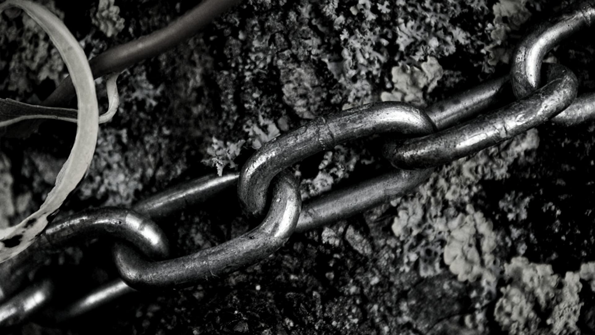 ¿Cómo aumentar la visibilidad de la cadena de suministro con tecnología?