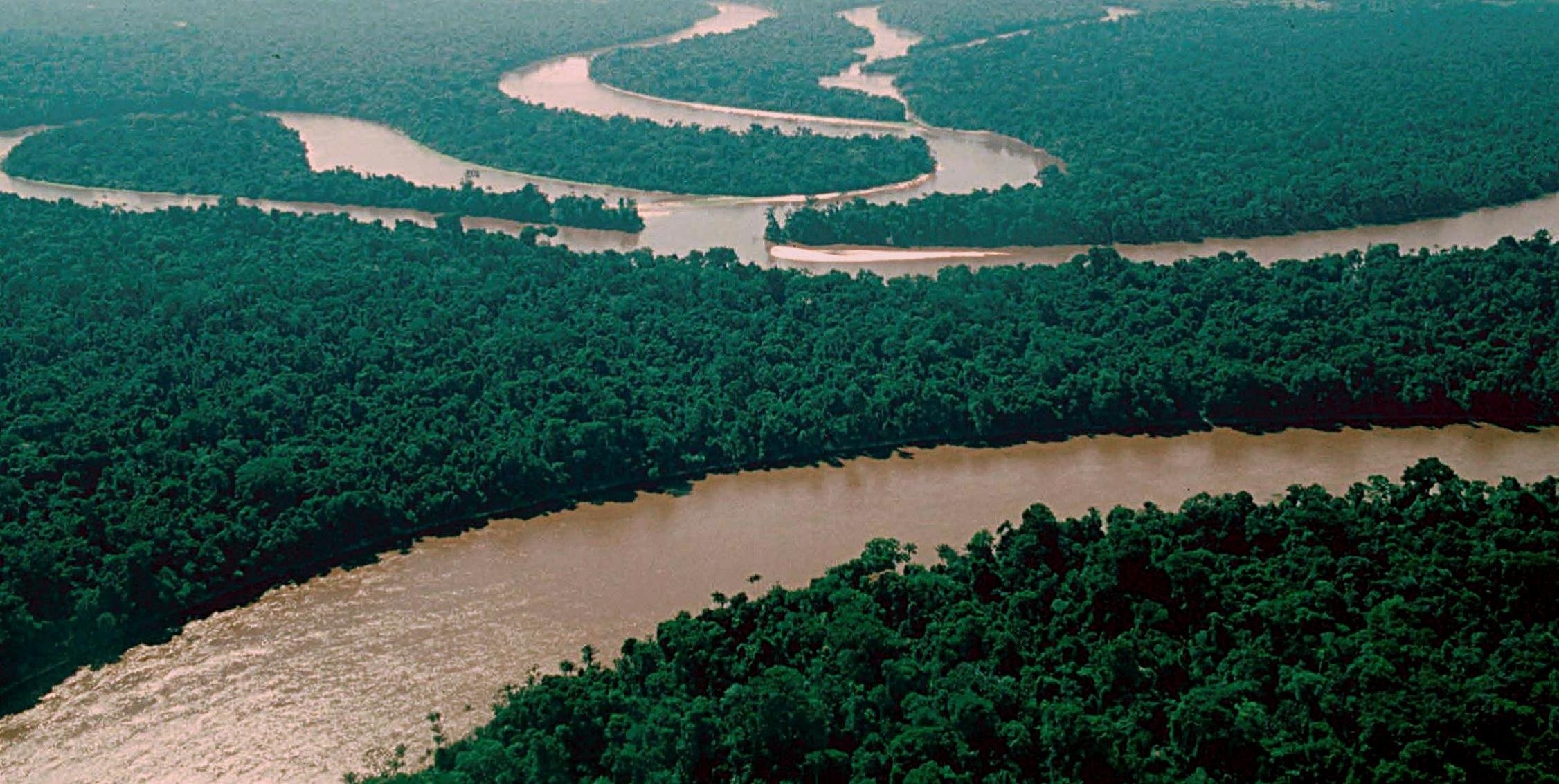 Microsoft ayuda a proteger la selva amazónica con su proyecto de IA