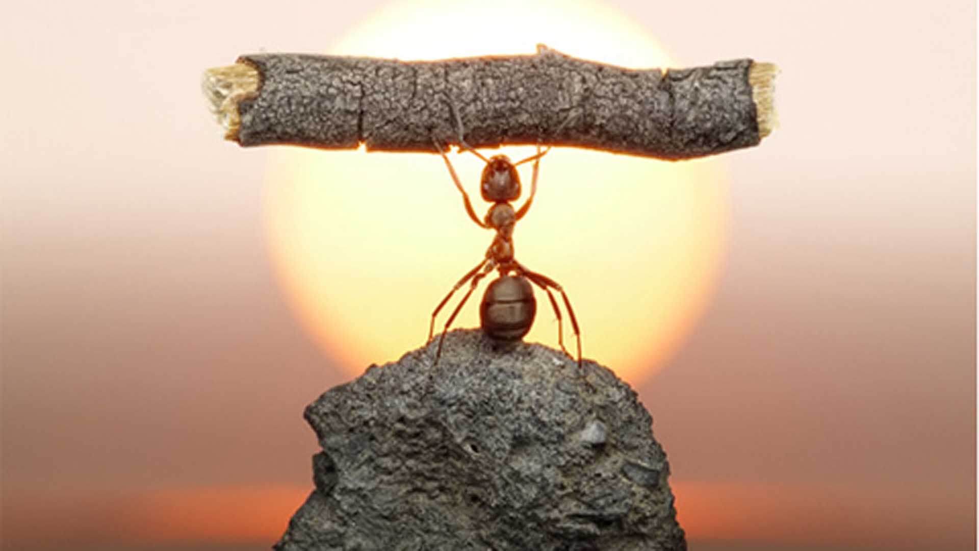 ¿Cómo pueden las empresas tecnológicas mejorar sus ciberdefensas?