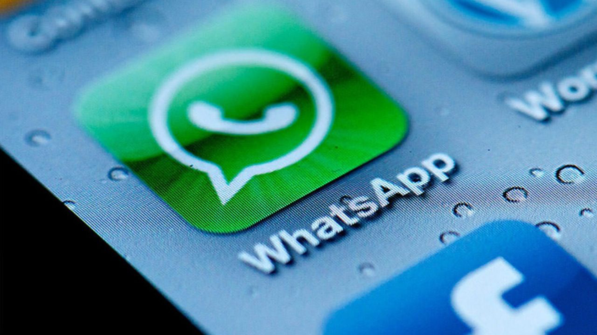 WhatsApp activa las copias de seguridad cifradas de extremo a extremo en la nube