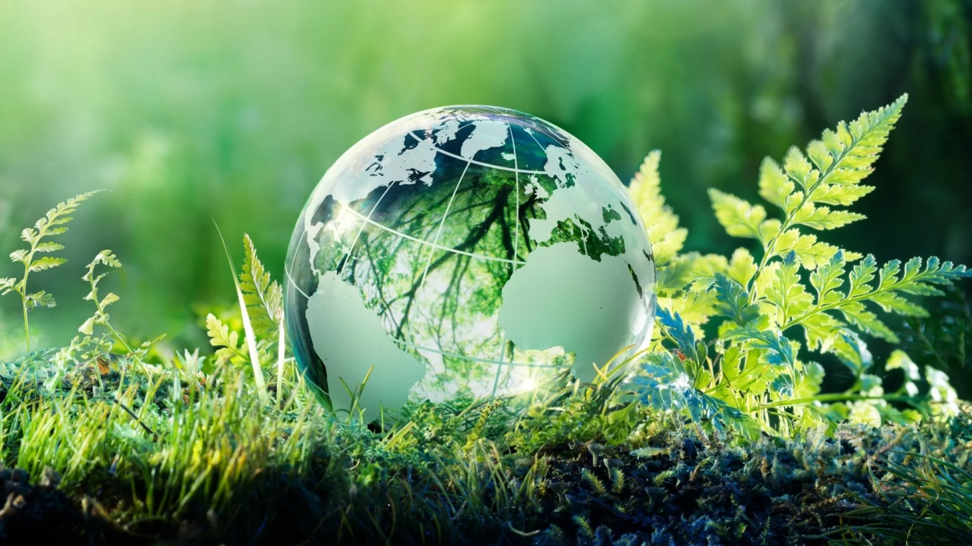 Accenture prosigue su racha de adquisiciones en materia de sostenibilidad con la compra de Carbon Intelligence