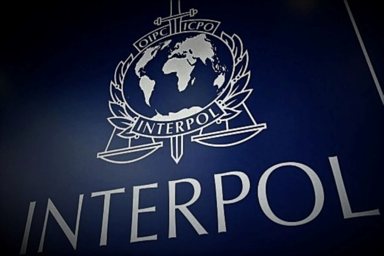 La Interpol detiene a 1.000 ciberdelincuentes en una operación antifraude de varios meses de duración