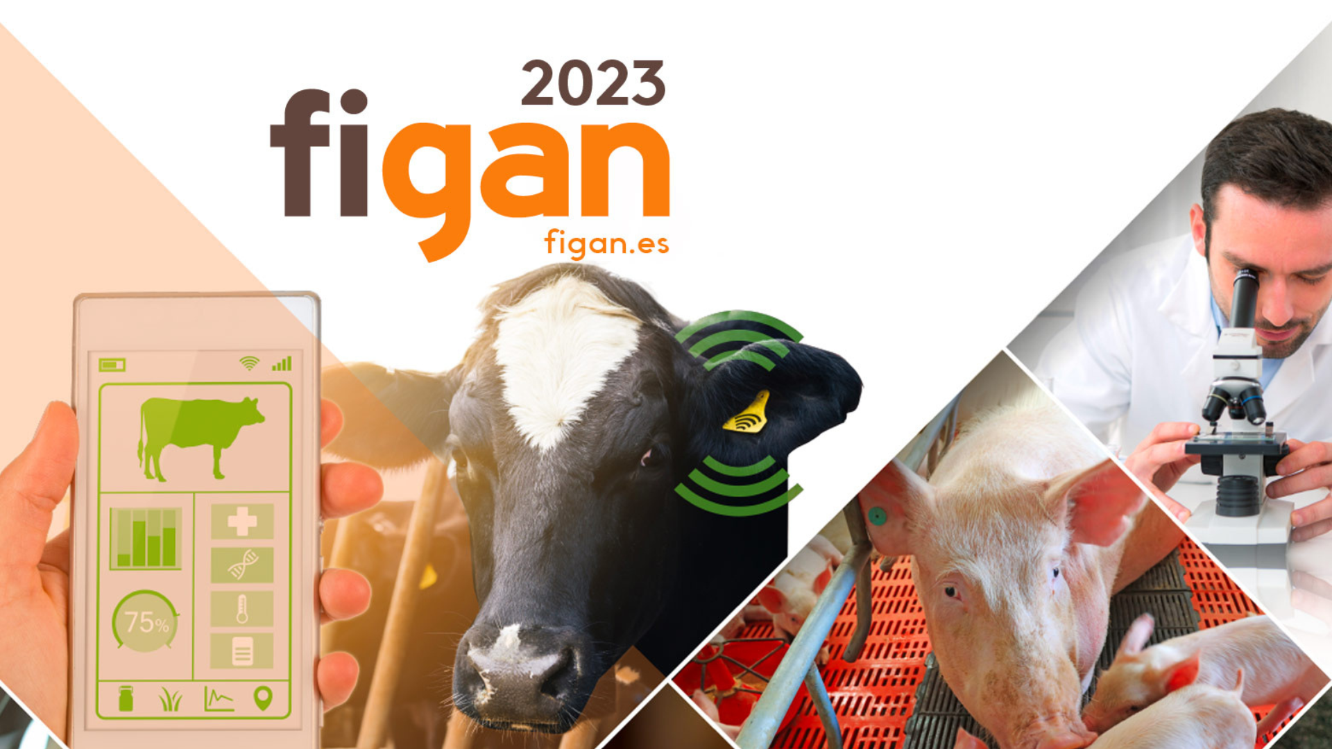 NutriNAV, el ERP de Ayanet TIC para el sector agroalimentario, estará en FIGAN 2023